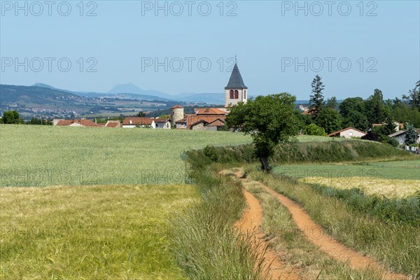 Bournoncle Saint-Pierre village near Brioude city. Haute Loire departement. Auvergne Rhone Alpes. France