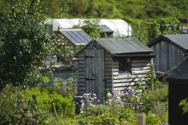 Sheds and greenhouses on allotment