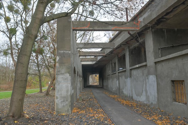 Tunnelweg