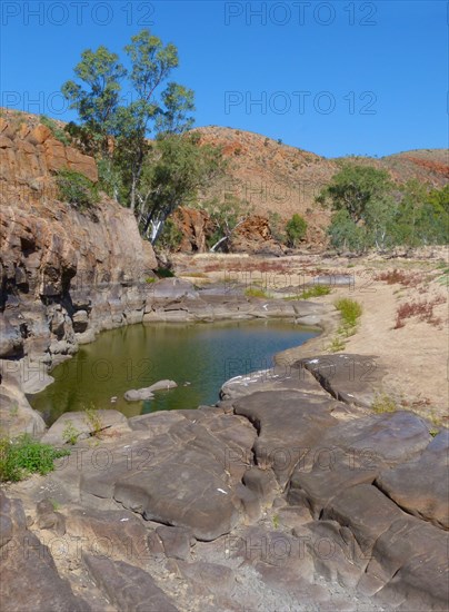 View of active waterhole during dry season