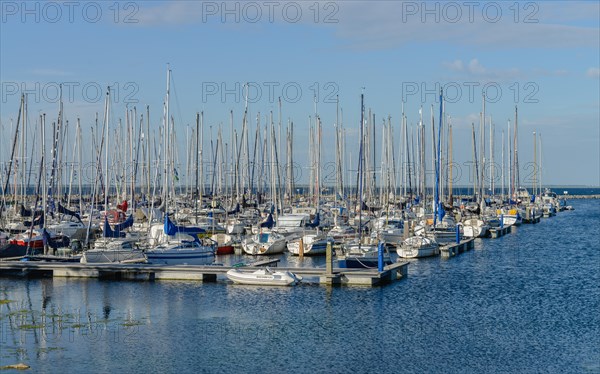 Marina Den Osse