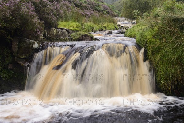 View of cascading stream and waterfall
