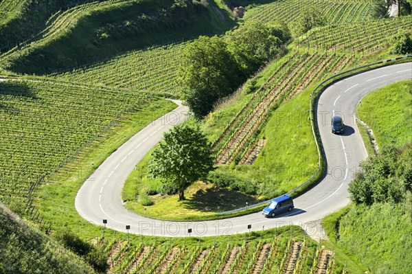 Serpentine of the district road K 4922 in the ascent to the Texas Pass at the viewpoint Auf dem Eck between Oberbergen and Kiechlinsbergen