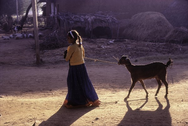 Lass Taking along goat and lamb