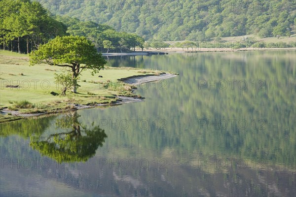View of trees reflected in the lake