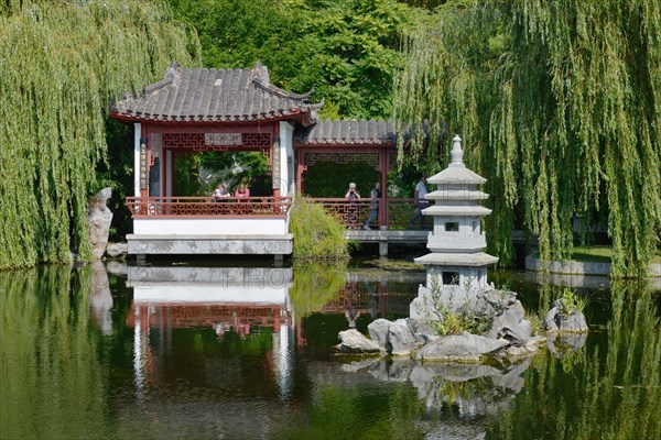 Chinese Garden