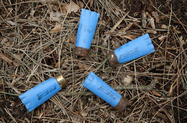 Spent shotgun cartridges in woodland