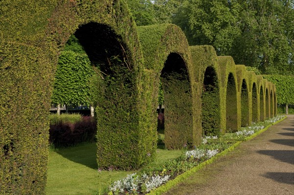 Topiary archways in public park garden