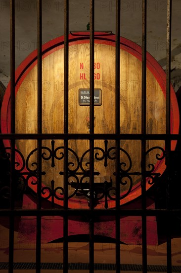 Barrels of Chianti red wine