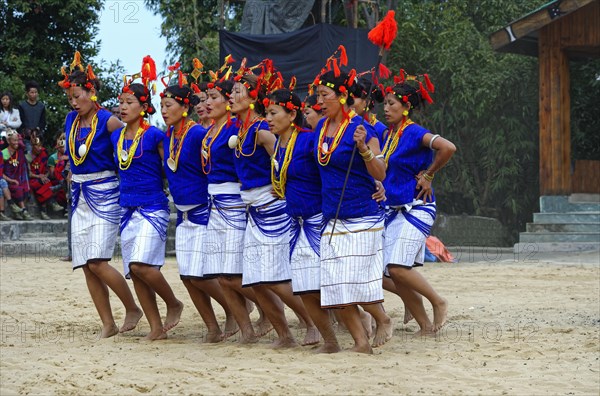 Ritual tribal dances at the Hornbill Festival