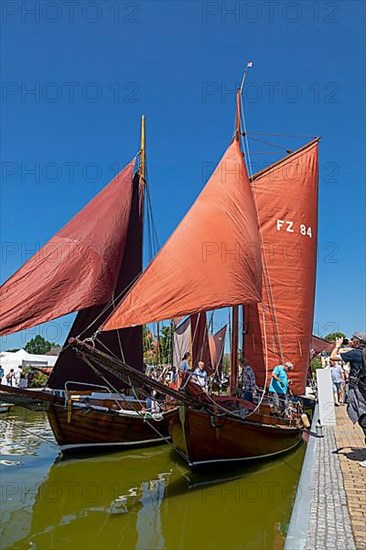 Zeesboote in the harbour