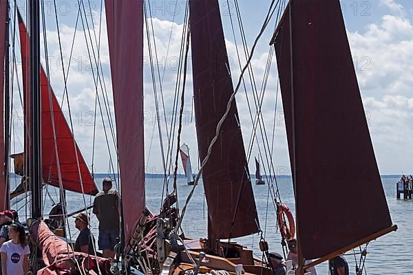 Zeesboote in the harbour