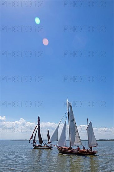Zeesboot Regatta