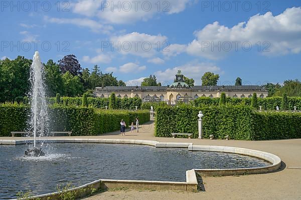 Picture Gallery