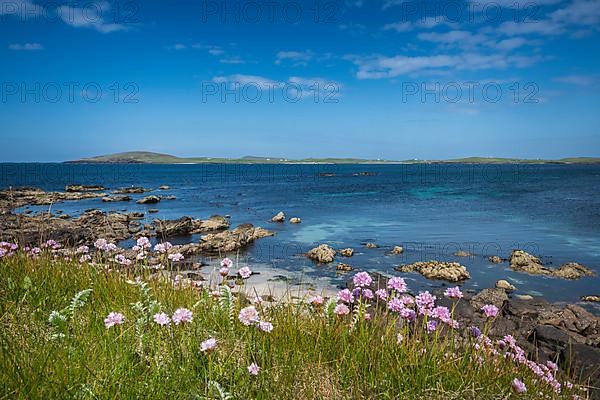 Coastal scene with view of the island of Papa Stour