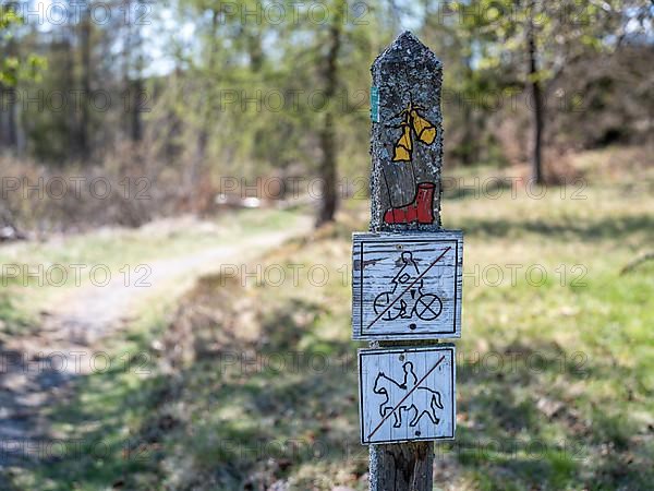 Wooden posts with trail markings and symbols for the Hagenstein Route