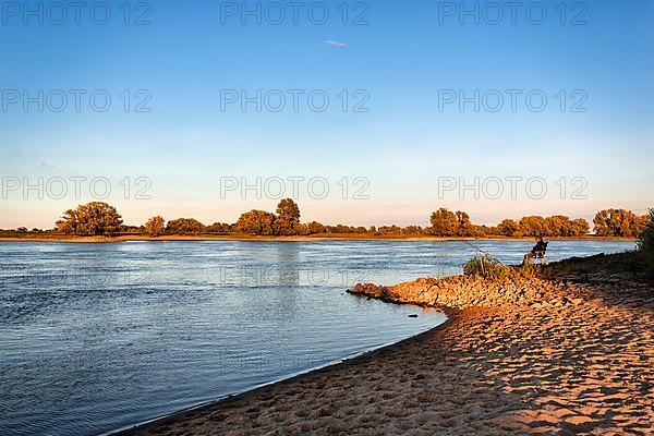 Shore