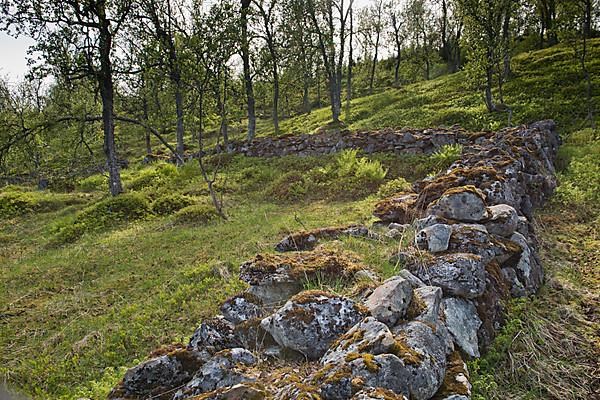 Mossy boulder wall