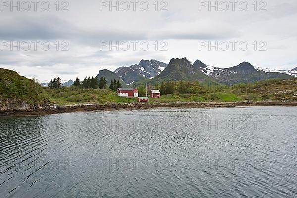Fjord landscape