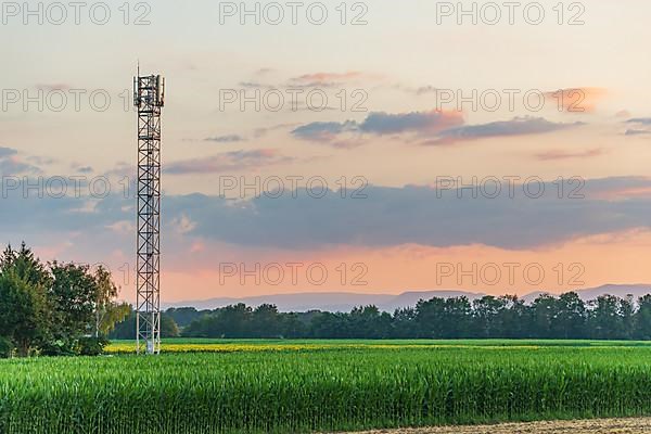 Telecom antenna in countryside in summer at sunset. Alsace