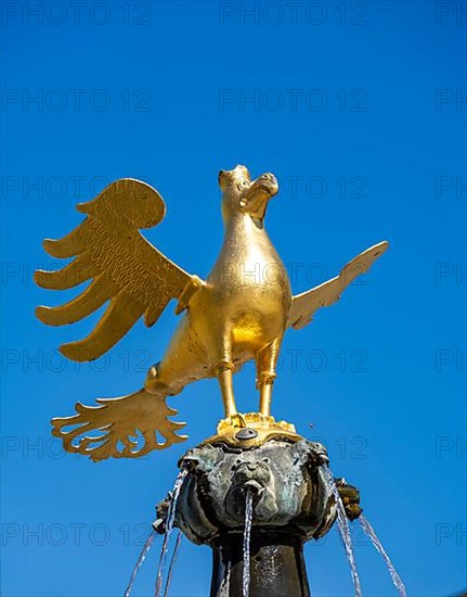 Golden eagle on the market fountain on the market square