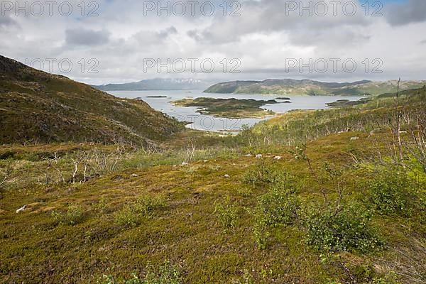 Fjell Landscape