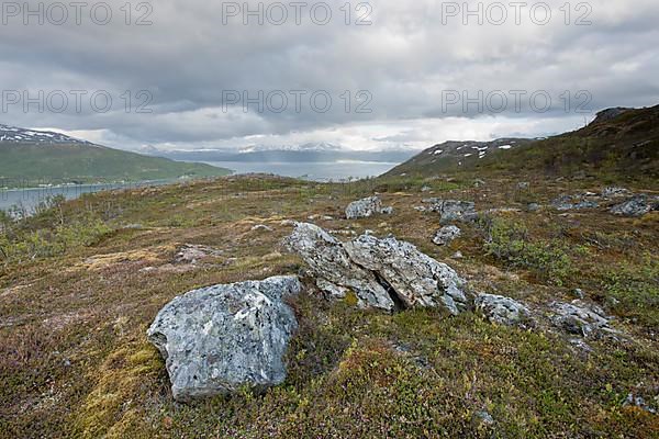 Fjell Landscape