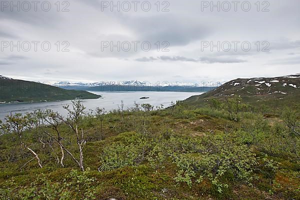 Fjell Landscape