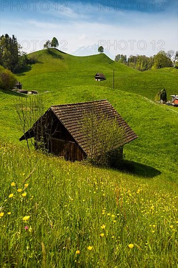 Panorama with huts and hills