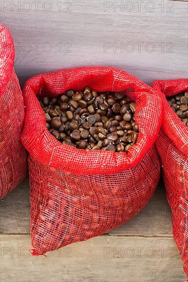 Raw fresh sweet chestnut for ready for sale
