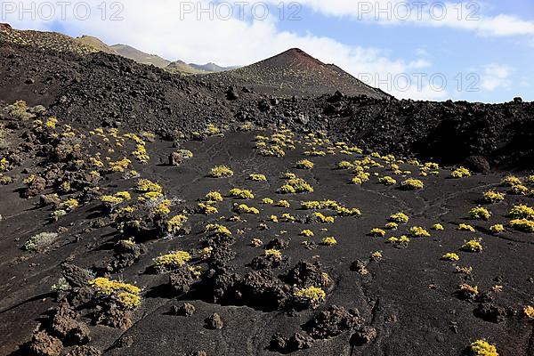 Blue volcanic landscape at Cap de Fuencaliente