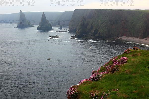 Highlands