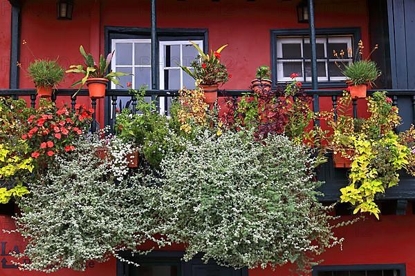 Typical balcony houses on the shore road in the town of Santa Cruz de la Palma