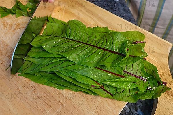 Swabian cuisine