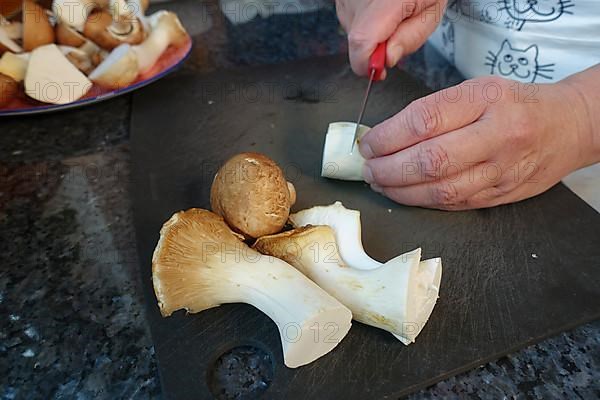 Swabian cuisine