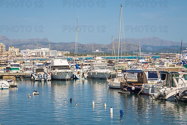 Port of Can Picafort, Can Picafort