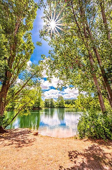 Sun star on a deciduous tree at the gravel pond in summer in Lohnde, Seelze