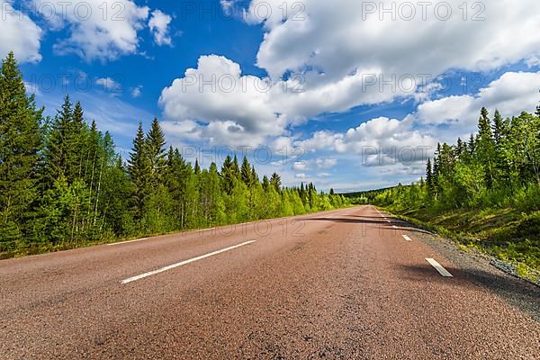 Street trough forest near Roetviken, Provinz Jaemtlands