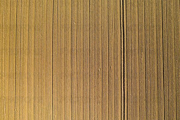 Aerial view of plowed agricultural field ready for planting,