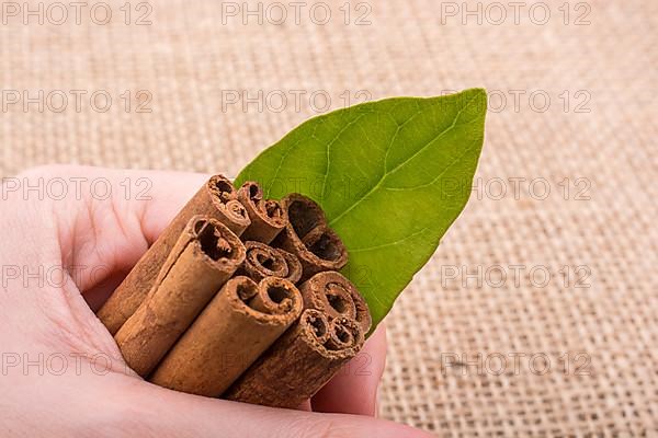 Bundle of cinnamon sticks on a linen canvas background,