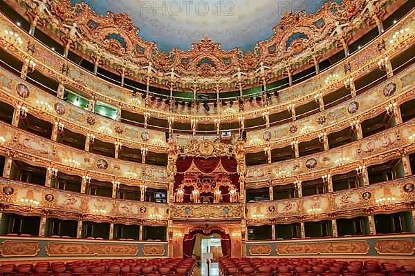 Auditorium, hall of the Teatro la Fenice opera house