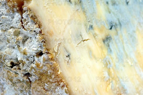 Blue Stilton or simply Stilton is an English blue cheese made from pasteurised cow's milk with a minimum of 48-55% fat in dry matter, cheese