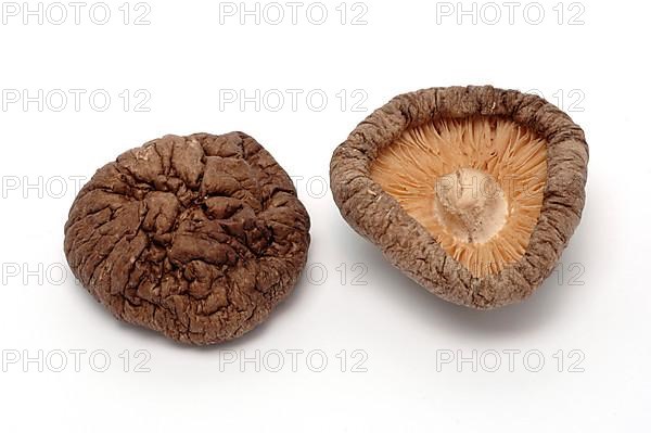 Shiitake,