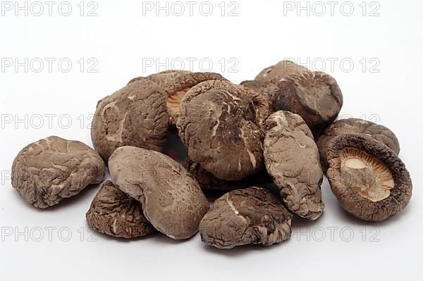 Shiitake,