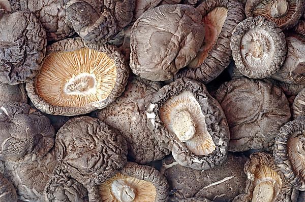 Shiitake,