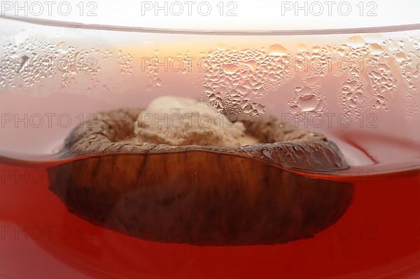 Medicinal tea, herbal tea