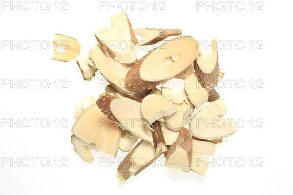 Cut twigs of the medicinal plant white mulberry,