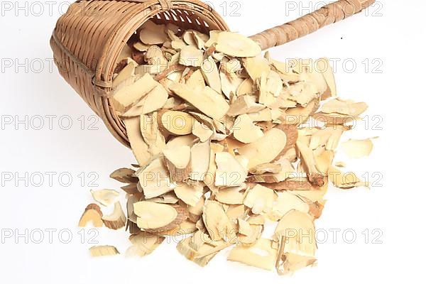 Cut twigs of the medicinal plant white mulberry,