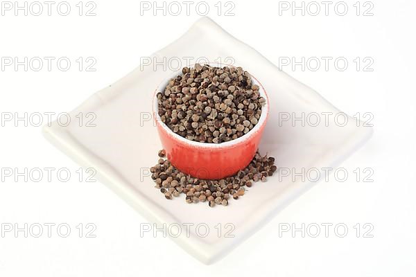 Medicinal plant Monk's pepper, Monk's pepper seeds