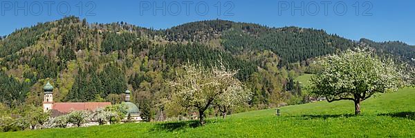 Sankt Trudpert Monastery, Muenstertal